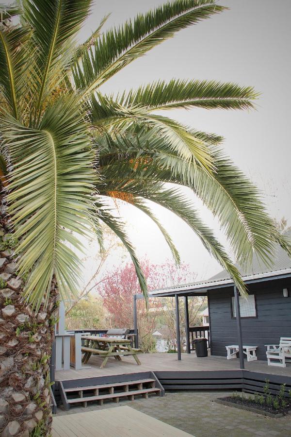 Hugo & Carters Backpackers & Motel Ταουράνγκα Εξωτερικό φωτογραφία Phoenix canariensis